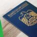 Emirati passports