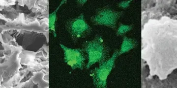 CLOTTING BLOOD FASTER