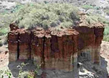 Fossil hotspots