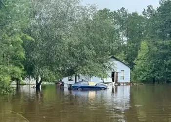 Hurricane