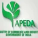APEDA