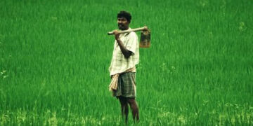 kharif crops