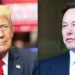 trump-musk