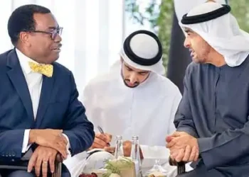 African Development Bank Group