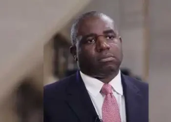 David Lammy