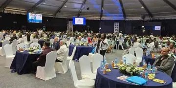 Developed India Developed Tanzania