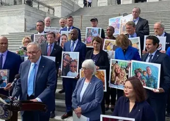 IVF bill fails