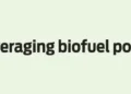 Leveraging biofuel policy