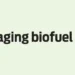 Leveraging biofuel policy