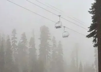 SNOWING-IN-SUMMER