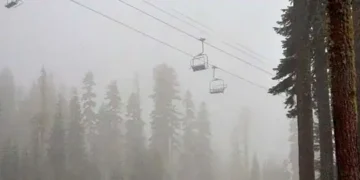 SNOWING-IN-SUMMER