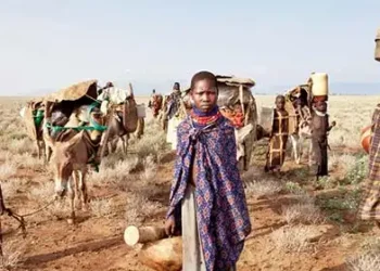 Rapid population growth fuelling climate crisis in Africa, says a new study