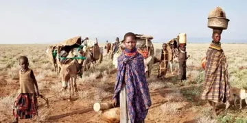 Rapid population growth fuelling climate crisis in Africa, says a new study