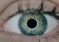 eye
