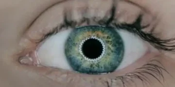 eye