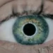 eye