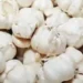 Clash over Chinese garlic in Gujarat, auction stopped in Saurashtra