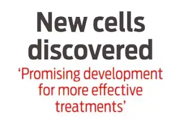 New cells discovered