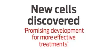 New cells discovered