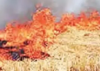 Air Quality Commission should tell what efforts were made to stop burning of stubble.