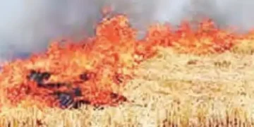 Air Quality Commission should tell what efforts were made to stop burning of stubble.