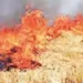 Air Quality Commission should tell what efforts were made to stop burning of stubble.