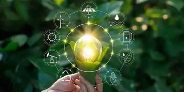 India meet its climate goals