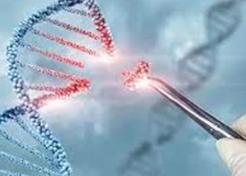 The researchers from University of California-Los Angeles (UCLA) Health Sciences aimed to research which factors in this subset of children indicated the need of a genetic test.