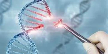 The researchers from University of California-Los Angeles (UCLA) Health Sciences aimed to research which factors in this subset of children indicated the need of a genetic test.