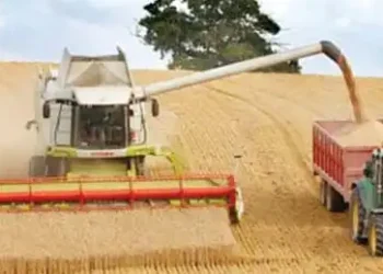 Second worst harvest