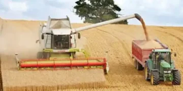 Second worst harvest