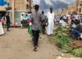 Cholera and dengue cases continue to rise in Sudan