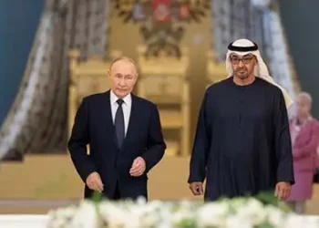 UAE, Russia discuss strategic partnership