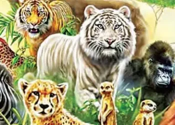 Situations causing serious danger to humans are increasing on Earth.