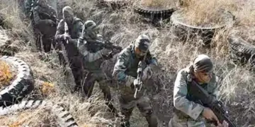 Time to walk the talk: India