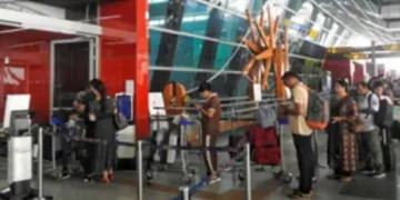 domestic air passenger