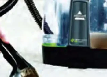 'The future lies in India only'