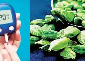 Diabetic patients should eat green cardamom daily