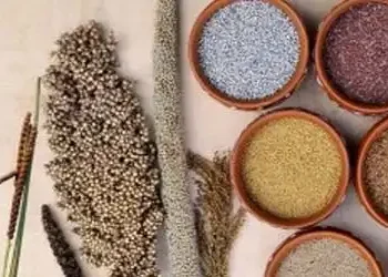 limiting food waste