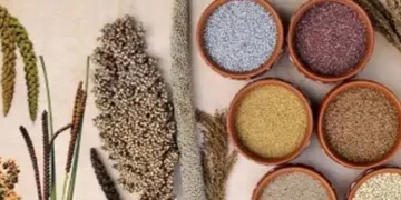 limiting food waste