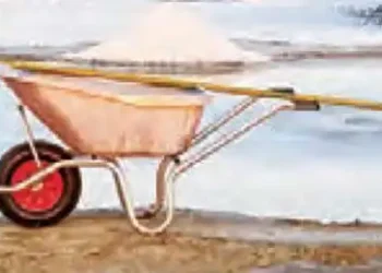 Government will give 60 thousand acres of waste salt land on lease