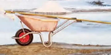 Government will give 60 thousand acres of waste salt land on lease