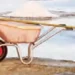Government will give 60 thousand acres of waste salt land on lease