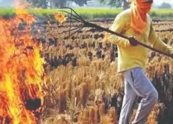 Farmers of Haryana are not desisting from burning stubble
