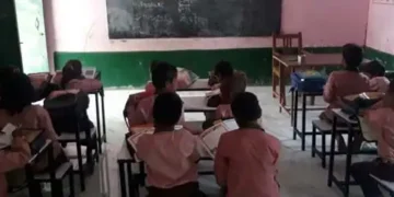school