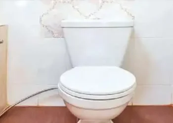 Now tax will have to be paid on toilet seats also in Himachal