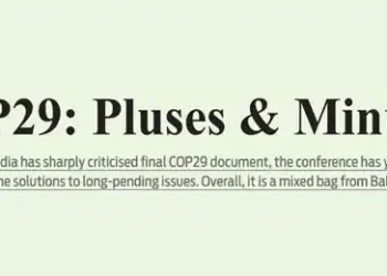 COP29: Pluses & Minuses