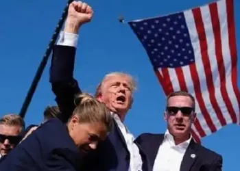 Trump triumphs over odds to win White House in historic comeback