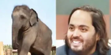 Anant Ambani gave new life to 3 African elephants