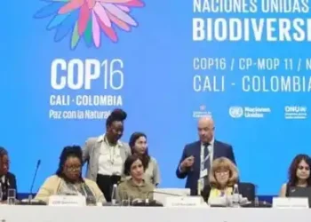 cop16